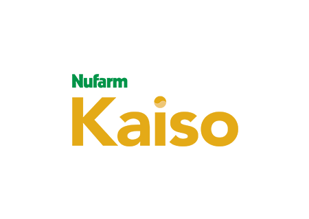 Kaiso 250 CS 